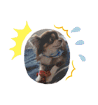 COCOくん(ᐡ⸝⸝o̴̶̷̤ ﻌ o̴̶̷̤⸝⸝ᐡ)（個別スタンプ：20）