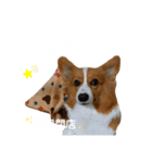 パピコギラテさん④（個別スタンプ：3）