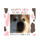 ぽん2021（個別スタンプ：2）