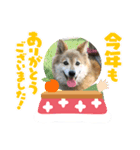 ぽん2021（個別スタンプ：3）