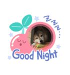 ぽん2021（個別スタンプ：4）
