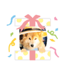 ぽん2021（個別スタンプ：6）