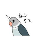 猫とか家のインコ（個別スタンプ：21）