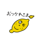フルーツ大好きあいさつ言葉（個別スタンプ：3）