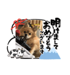 年末年始今ドキッズスタンプ（個別スタンプ：7）