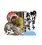 年末年始今ドキッズスタンプ（個別スタンプ：8）