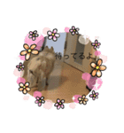 年末年始今ドキッズスタンプ（個別スタンプ：13）