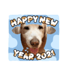 aslan年末年始ver.2021（個別スタンプ：1）