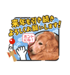 aslan年末年始ver.2021（個別スタンプ：2）