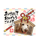 aslan年末年始ver.2021（個別スタンプ：3）