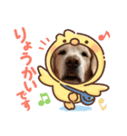 aslan年末年始ver.2021（個別スタンプ：6）