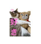 とびだせルイくん2（個別スタンプ：1）