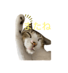 とびだせルイくん2（個別スタンプ：4）