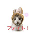 とびだせルイくん2（個別スタンプ：5）