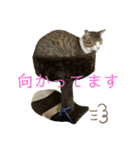 とびだせルイくん2（個別スタンプ：9）