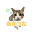 とびだせルイくん2（個別スタンプ：14）