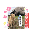ジョリーありがとう（個別スタンプ：23）