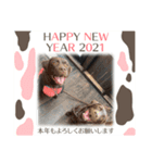 こたろう5（仲良し組）イベント（個別スタンプ：2）