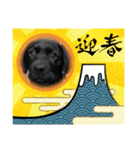 こたろう5（仲良し組）イベント（個別スタンプ：5）