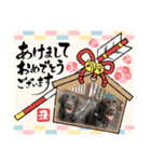 こたろう5（仲良し組）イベント（個別スタンプ：7）