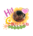 みーこスタンプ②（個別スタンプ：7）