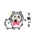 トイプーとMIX犬のいろんな時用スタンプ！（個別スタンプ：38）