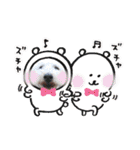 トイプーとMIX犬のいろんな時用スタンプ！（個別スタンプ：39）