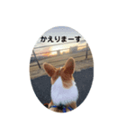 ボクベッカム②（個別スタンプ：4）