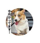 ボクベッカム②（個別スタンプ：6）