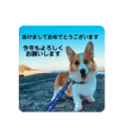 ボクベッカム②（個別スタンプ：8）