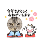 まぐろちゃんのかわいいスタンプ（個別スタンプ：4）