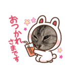 まぐろちゃんのかわいいスタンプ（個別スタンプ：5）