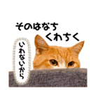 ぽたんぷ①（個別スタンプ：14）