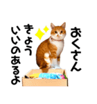 ぽたんぷ①（個別スタンプ：19）