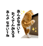 ぽたんぷ①（個別スタンプ：21）
