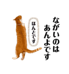 ぽたんぷ①（個別スタンプ：22）