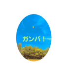 かおり19670801（個別スタンプ：6）