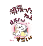 【Big】シーズー犬12『新年』（個別スタンプ：35）