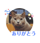 alii＆soeur（個別スタンプ：1）