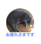 alii＆soeur（個別スタンプ：2）
