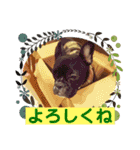 alii＆soeur（個別スタンプ：4）