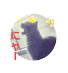 alii＆soeur（個別スタンプ：9）