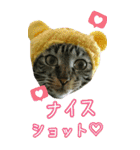 きなことあんこ6（個別スタンプ：4）