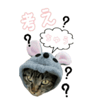 きなことあんこ6（個別スタンプ：13）