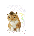 きなことあんこ6（個別スタンプ：15）