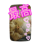 きなことあんこ6（個別スタンプ：18）
