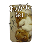 きなことあんこ6（個別スタンプ：29）
