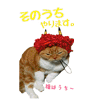 きなことあんこ6（個別スタンプ：33）