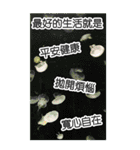 自然の長老の地図(大きなステッカー)（個別スタンプ：8）