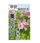 自然の長老の地図(大きなステッカー)（個別スタンプ：15）